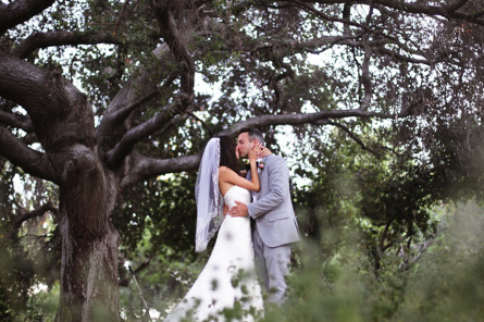 Married couple kissing in front of old tree