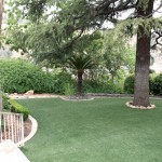 Kellogg House lower level with trees and green yard